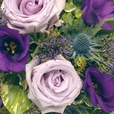 Posy  Purple, Blue and Lilac