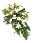 Spray White Lily & Greenery